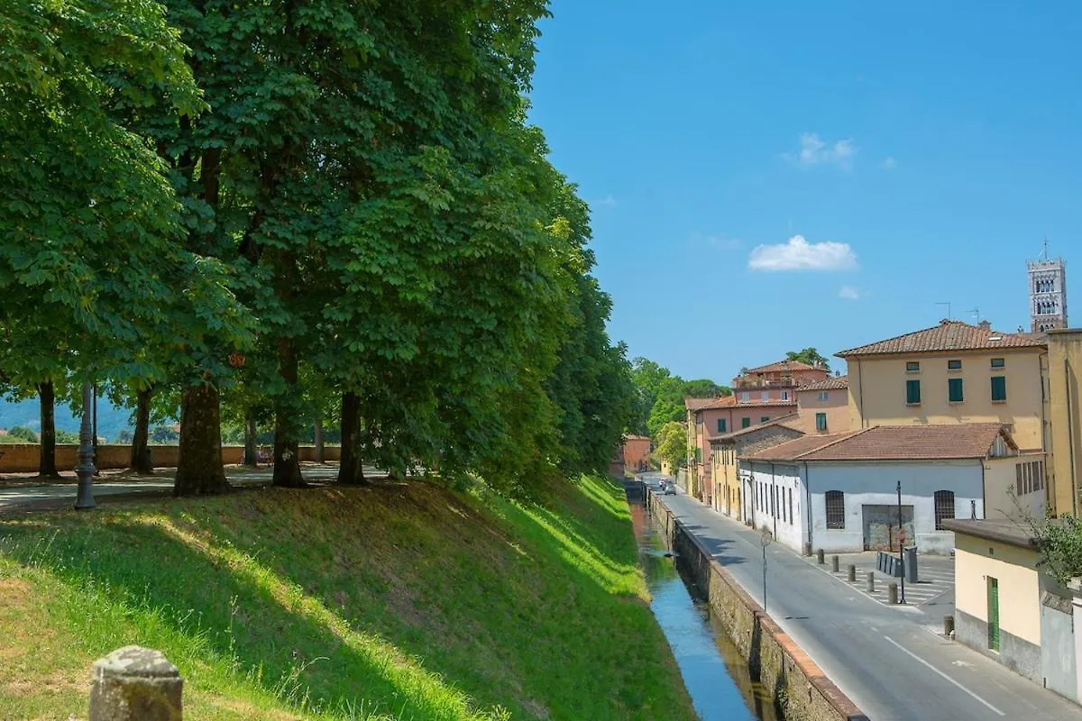Alimenta Open Space City Center Lucca